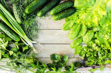 Yeşil sebze ve otlar