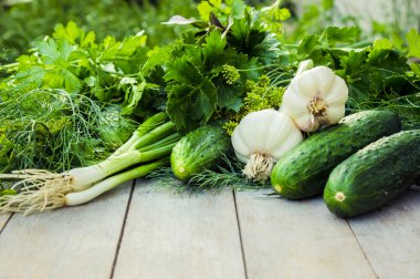 Yeşil sebze ve otlar