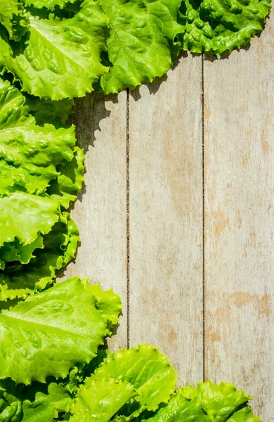 Fundo de salada de espinafre — Fotografia de Stock