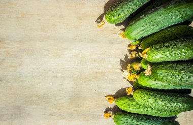 Yeşil sebze ve otlar