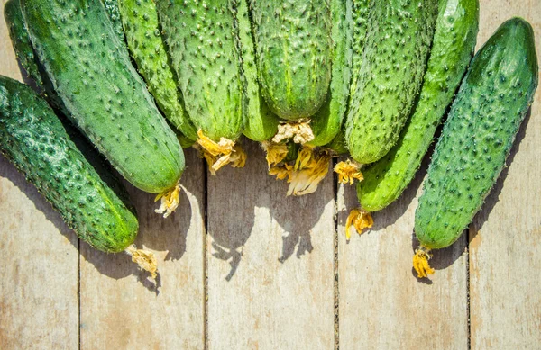 Green vegetables and herbs — Stock Photo, Image