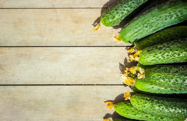 Verduras y hierbas verdes —  Fotos de Stock