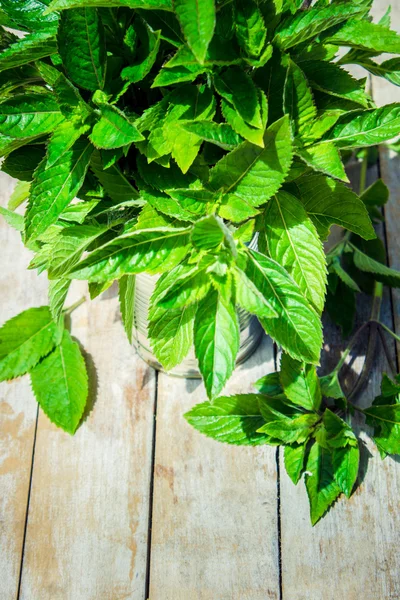 Limun buatan sendiri dengan mint — Stok Foto