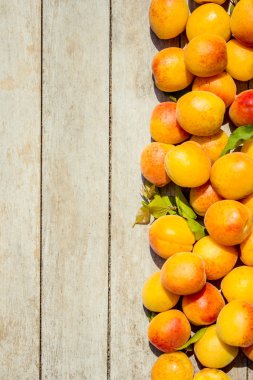 tatlı olgun sulu kayısı