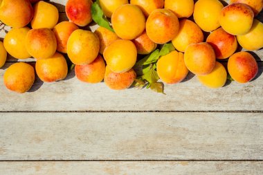 tatlı olgun sulu kayısı