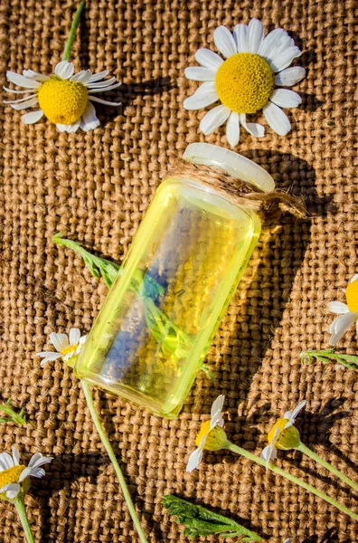 Geurende olie van kamille bloemen in een glazen fles macro op houten tafel horizontale — Stockfoto