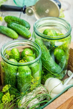 Taze salatalık turşusu. Dereotu, sarımsak ve baharatlar ile taze salatalık turşuiçin hazırlanıyor