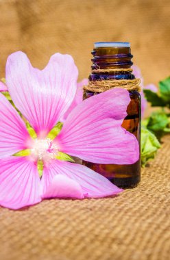 Ebegümeci uçucu yağ küçük bir şişe (bitkisel tentür, tentür, özü)