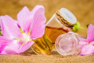 Ebegümeci uçucu yağ küçük bir şişe (bitkisel tentür, tentür, özü)