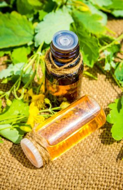 Small bottle of celandine infusion (herbal tincture, extract, oil) clipart