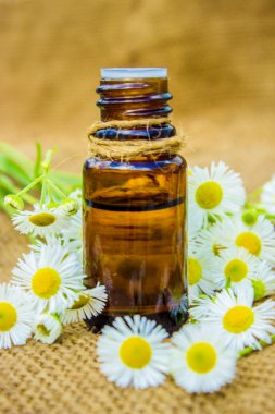 Küçük şişe tırnak ve kütikül bakım için kozmetik papatya yağı