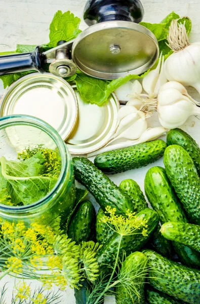 Fresh pickling cucumbers.Preparing to pickle fresh cucumbers with dill,garlic and spices — Stock Photo, Image