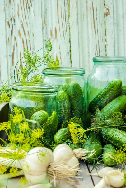 Pepinos frescos en vinagre. Preparación de pepinos frescos en vinagre con eneldo, ajo y especias — Foto de Stock