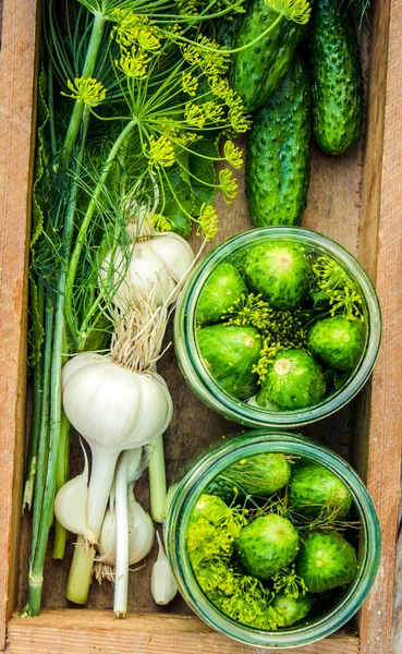 Fresh pickling cucumbers.Preparing to pickle fresh cucumbers with dill,garlic and spices — Stock Photo, Image