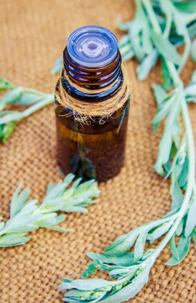 Небольшая бутылка эфирного масла полыни (травяная настойка, настойка, экстракт ) — стоковое фото
