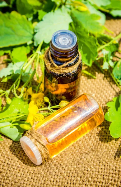 Malá láhev jarní infuze (bylinné tinktury, extrakt, olej) — Stock fotografie
