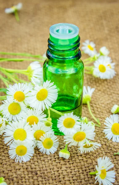 Small bottle of cosmetic chamomile oil for nail and cuticle care — Stock Photo, Image