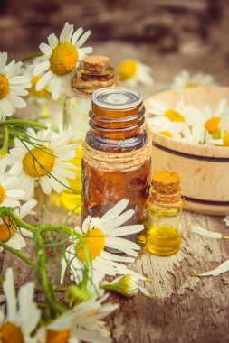 küçük bir papatya özü şişe sağım kozmetik ve tedavi