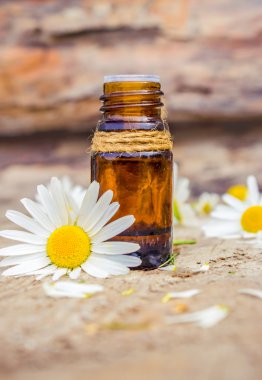 küçük bir papatya özü şişe sağım kozmetik ve tedavi