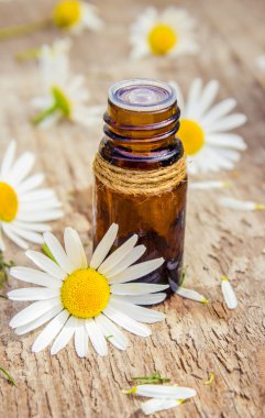 küçük bir papatya özü şişe sağım kozmetik ve tedavi