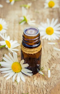 küçük bir papatya özü şişe sağım kozmetik ve tedavi