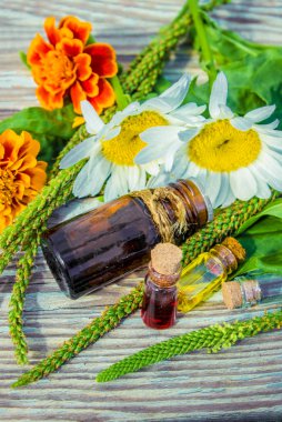 Alternative herbal medicine with medicinal plants essence bottles clipart