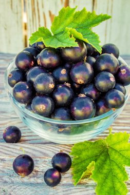 ahşap kütük üzerinde siyah kase siyah kuş üzümü