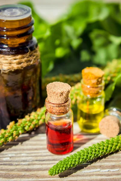 Extrato de bananeira em um frasco pequeno, tratamento, medicamento, infusão, extrato, decocção , — Fotografia de Stock