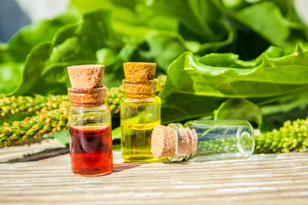 Extrato de bananeira em um frasco pequeno, tratamento, medicamento, infusão, extrato, decocção , — Fotografia de Stock