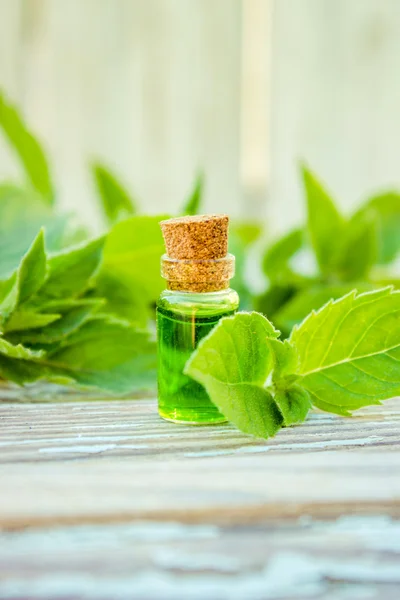 Ätherisches Öl der Pfefferminze in einer kleinen braunen Flasche mit frischer grüner Minze auf altem Holzgrund, selektiver Fokus — Stockfoto