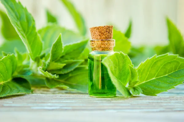 Óleo essencial de hortelã-pimenta em uma pequena garrafa marrom com hortelã verde fresca em um fundo de madeira antigo, foco seletivo — Fotografia de Stock