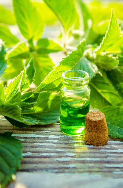 Эфирное масло мяты перечной в маленькой коричневой бутылке со свежей зеленой мятой на старом деревянном фоне, избирательный фокус — стоковое фото