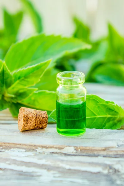 Ätherisches Öl der Pfefferminze in einer kleinen braunen Flasche mit frischer grüner Minze auf altem Holzgrund, selektiver Fokus — Stockfoto