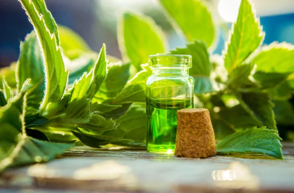 Aceite esencial de menta en una pequeña botella marrón con menta verde fresca sobre un fondo de madera viejo, enfoque selectivo — Foto de Stock