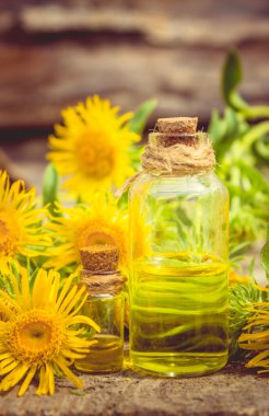 Tentür, elecampane. Tıbbi halk tentür Inula köklerinden çare