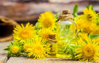 Tentür, elecampane. Tıbbi halk tentür Inula köklerinden çare