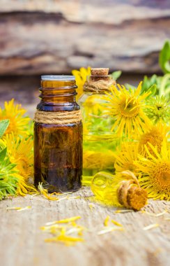 Tentür, elecampane. Tıbbi halk tentür Inula köklerinden çare