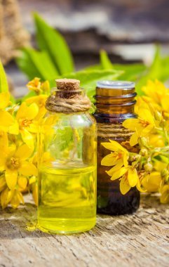 loosestrife çiçek otlar ayıklamak, telkin, kaynatma.