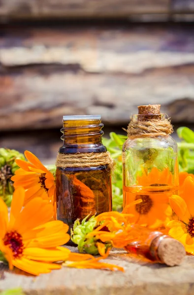 Botella pequeña de aceite de caléndula (extracto de caléndula, tintura, infusión ) —  Fotos de Stock