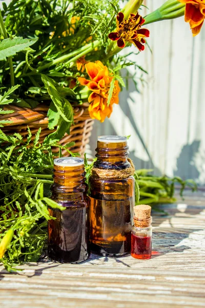 Tintura de ortiga en una botella pequeña y hojas frescas en madera blanca, hierba medicinal para el sobrepeso, diabéticos y debilidad renal, enfoque seleccionado, estrecha profundidad de campo — Foto de Stock