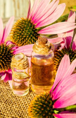 Şifalı otlar Ekinezya küçük bir şişe içinde