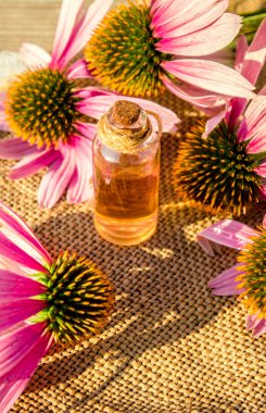 Şifalı otlar Ekinezya küçük bir şişe içinde