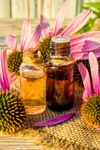 Medicinal herbs echinacea in a small bottle