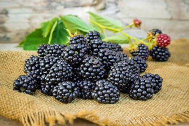 masaya olgun böğürtlen.