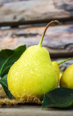 Olgun sulu ev pişmiş armut.