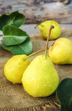 Olgun sulu ev pişmiş armut.