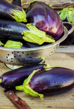 Sebze. Olgun mavi patlıcan.