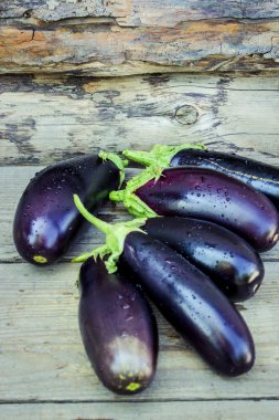 Sebze. Olgun mavi patlıcan.