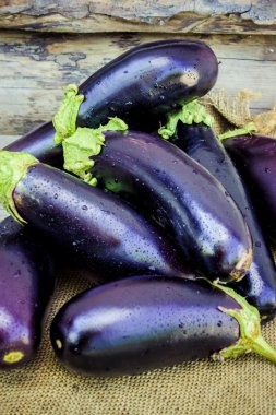 Sebze. Olgun mavi patlıcan.