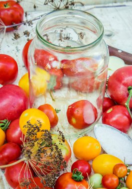 Sebze. Konserve için olgun domates.